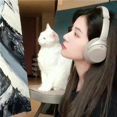 皮皮虾总裁