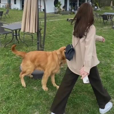 红帆布